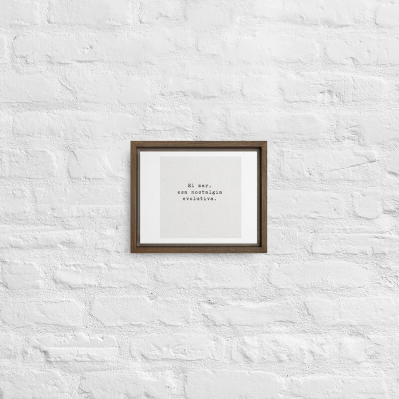 Framed canvas
